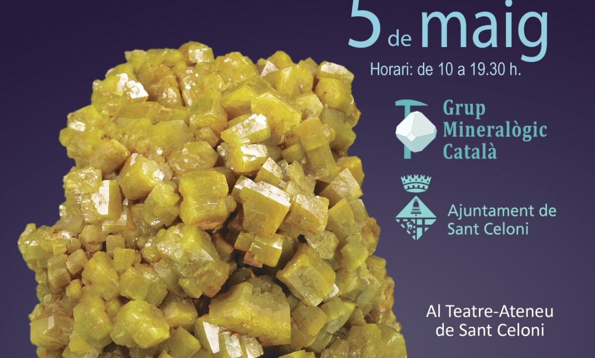 MineralExpo a Sant Celoni